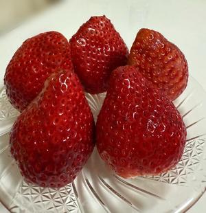 安西めぐみの写メ日記｜ローテンブルク 吉原高級店ソープ