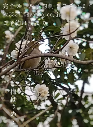 湊 かすみの写メ日記｜ローテンブルク 吉原高級店ソープ