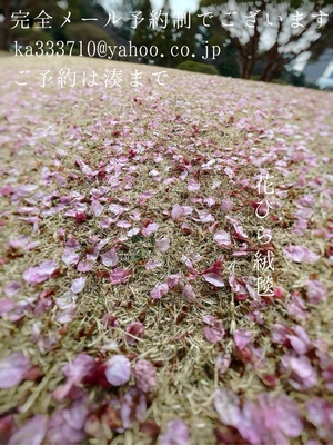 湊 かすみの写メ日記｜ローテンブルク 吉原高級店ソープ