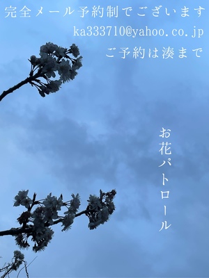 湊 かすみの写メ日記｜ローテンブルク 吉原高級店ソープ