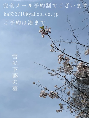 湊 かすみの写メ日記｜ローテンブルク 吉原高級店ソープ