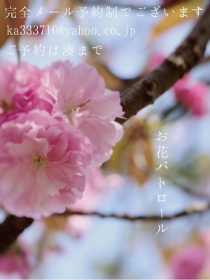 湊 かすみの写メ日記｜ローテンブルク 吉原高級店ソープ