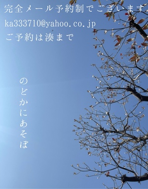 湊 かすみの写メ日記｜ローテンブルク 吉原高級店ソープ
