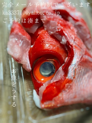 湊 かすみの写メ日記｜ローテンブルク 吉原高級店ソープ