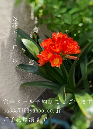 湊 かすみの写メ日記｜ローテンブルク 吉原高級店ソープ