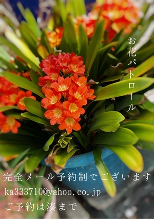 湊 かすみの写メ日記｜ローテンブルク 吉原高級店ソープ