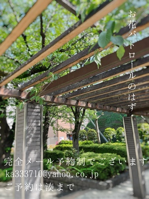 湊 かすみの写メ日記｜ローテンブルク 吉原高級店ソープ
