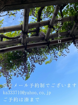 湊 かすみの写メ日記｜ローテンブルク 吉原高級店ソープ
