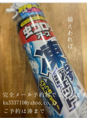 湊 かすみの写メ日記｜ローテンブルク 吉原高級店ソープ