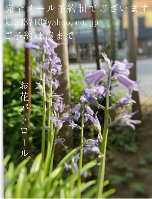 湊 かすみの写メ日記｜ローテンブルク 吉原高級店ソープ