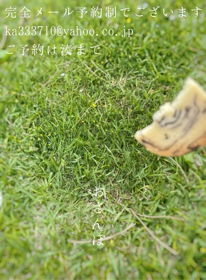 湊 かすみの写メ日記｜ローテンブルク 吉原高級店ソープ