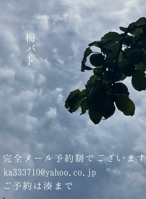 湊 かすみの写メ日記｜ローテンブルク 吉原高級店ソープ