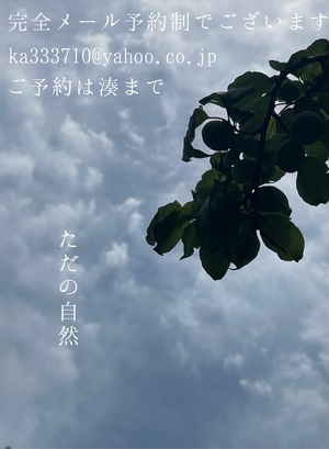 湊 かすみの写メ日記｜ローテンブルク 吉原高級店ソープ