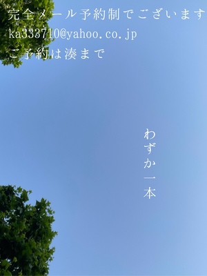 湊 かすみの写メ日記｜ローテンブルク 吉原高級店ソープ