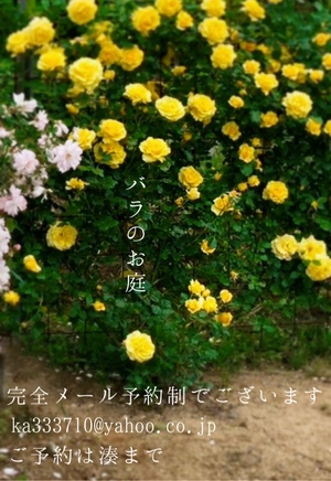 湊 かすみの写メ日記｜ローテンブルク 吉原高級店ソープ