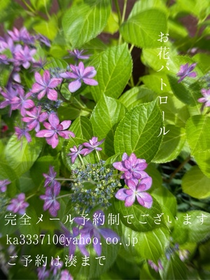 湊 かすみの写メ日記｜ローテンブルク 吉原高級店ソープ