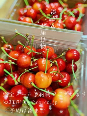 湊 かすみの写メ日記｜ローテンブルク 吉原高級店ソープ