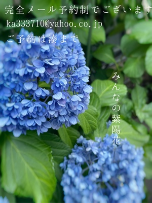 湊 かすみの写メ日記｜ローテンブルク 吉原高級店ソープ