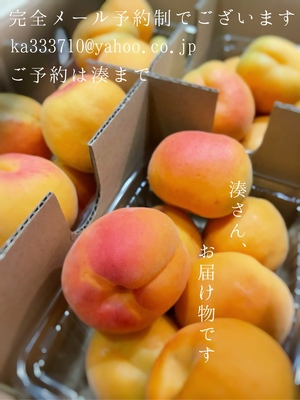 湊 かすみの写メ日記｜ローテンブルク 吉原高級店ソープ