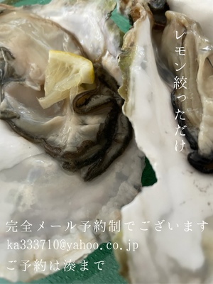 湊 かすみの写メ日記｜ローテンブルク 吉原高級店ソープ