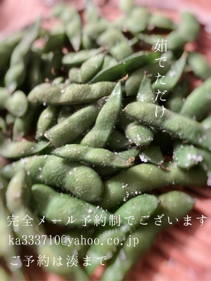 湊 かすみの写メ日記｜ローテンブルク 吉原高級店ソープ