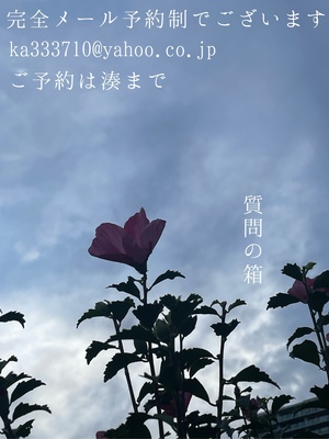 湊 かすみの写メ日記｜ローテンブルク 吉原高級店ソープ