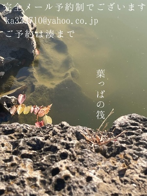 湊 かすみの写メ日記｜ローテンブルク 吉原高級店ソープ