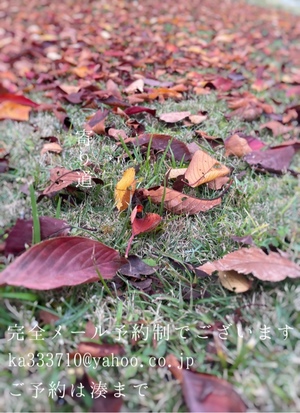 湊 かすみの写メ日記｜ローテンブルク 吉原高級店ソープ