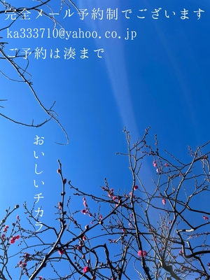 湊 かすみの写メ日記｜ローテンブルク 吉原高級店ソープ