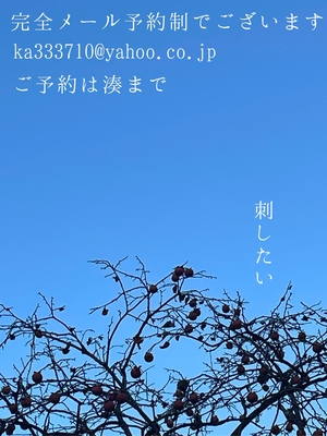 湊 かすみの写メ日記｜ローテンブルク 吉原高級店ソープ