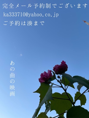 湊 かすみの写メ日記｜ローテンブルク 吉原高級店ソープ