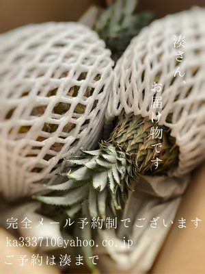 湊 かすみの写メ日記｜ローテンブルク 吉原高級店ソープ