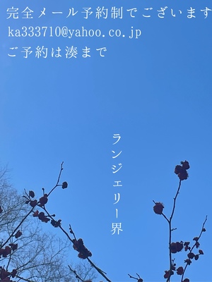 湊 かすみの写メ日記｜ローテンブルク 吉原高級店ソープ