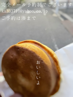 湊 かすみの写メ日記｜ローテンブルク 吉原高級店ソープ