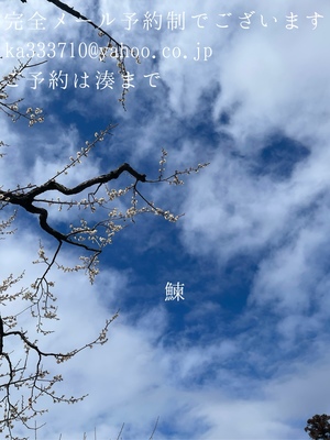 湊 かすみの写メ日記｜ローテンブルク 吉原高級店ソープ