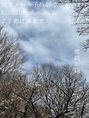 湊 かすみの写メ日記｜ローテンブルク 吉原高級店ソープ