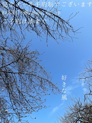 湊 かすみの写メ日記｜ローテンブルク 吉原高級店ソープ