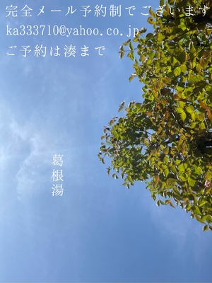 湊 かすみの写メ日記｜ローテンブルク 吉原高級店ソープ
