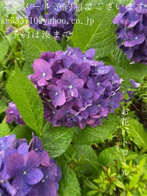 湊 かすみの写メ日記｜ローテンブルク 吉原高級店ソープ