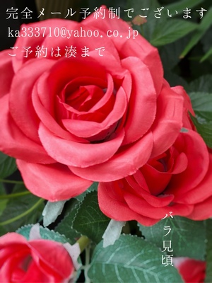 湊 かすみの写メ日記｜ローテンブルク 吉原高級店ソープ