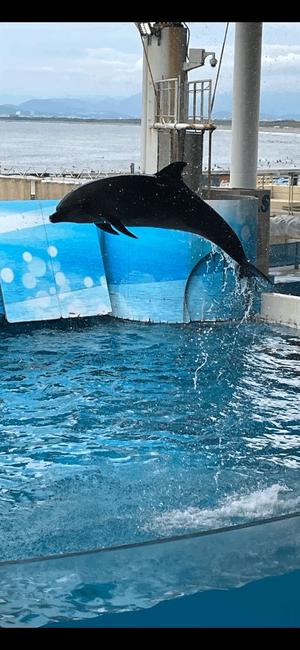 美咲りんかの写メ日記｜ローテンブルク 吉原高級店ソープ