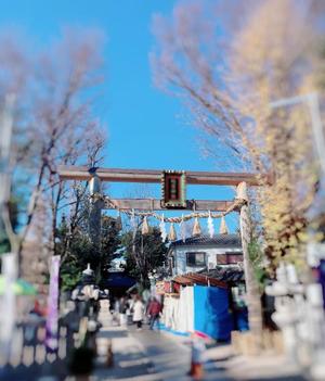 椎名由貴の写メ日記｜ローテンブルク 吉原高級店ソープ