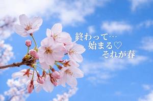 椎名由貴の写メ日記｜ローテンブルク 吉原高級店ソープ