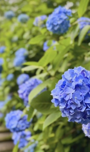 里中あいりの写メ日記｜ローテンブルク 吉原高級店ソープ