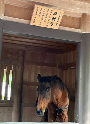 里中あいりの写メ日記｜ローテンブルク 吉原高級店ソープ