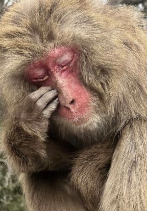 里中あいりの写メ日記｜ローテンブルク 吉原高級店ソープ