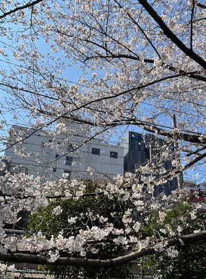 里中あいりの写メ日記｜ローテンブルク 吉原高級店ソープ