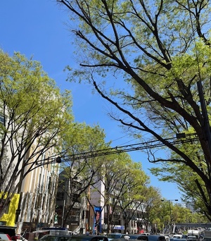 里中あいりの写メ日記｜ローテンブルク 吉原高級店ソープ