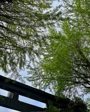 里中あいりの写メ日記｜ローテンブルク 吉原高級店ソープ