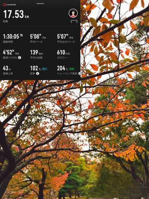 椿 こずえの写メ日記｜ローテンブルク 吉原高級店ソープ